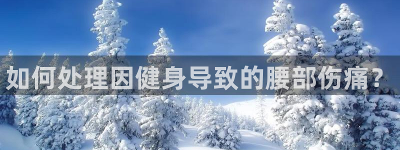 意昂4招商
