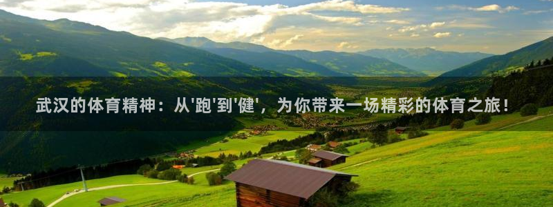 意昂4招商