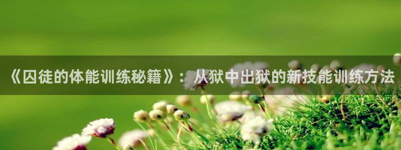 意昂4官方平台