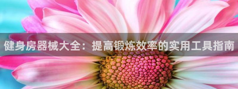 意昂4官方平台