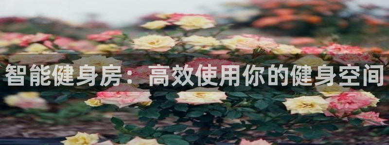 意昂4代理