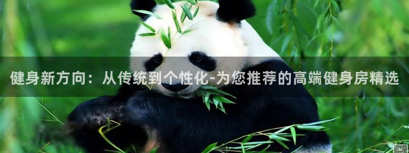 意昂4官方平台