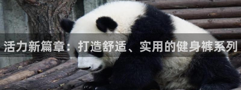 意昂4官方网站