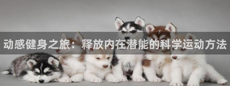 意昂4官方平台